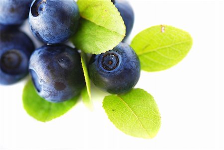 simsearch:695-05773119,k - Blueberries over white background. Shallow depth of field. Stock Photo - Budget Royalty-Free & Subscription, Code: 400-03925400