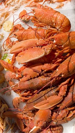 simsearch:6102-03859363,k - Lobsters and other seafood on display in a fishmongers Foto de stock - Super Valor sin royalties y Suscripción, Código: 400-03927357