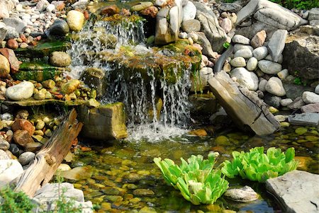 relaxed at home asians in backyard - Natural stone pond as landscaping design element Stock Photo - Budget Royalty-Free & Subscription, Code: 400-03927761