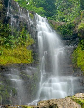 waterfall through a dense lush forest Photographie de stock - Aubaine LD & Abonnement, Code: 400-03928041