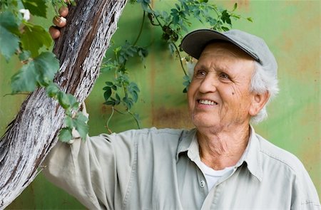 Image shows a happy senior person looking at an old tree branch Stock Photo - Budget Royalty-Free & Subscription, Code: 400-03928132