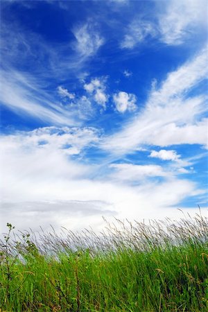 simsearch:400-04761029,k - Natural background of bright blue sky and green grass Fotografie stock - Microstock e Abbonamento, Codice: 400-03928417