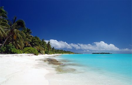 simsearch:400-05892265,k - Tropischer Strand auf den Malediven Stock Photo - Budget Royalty-Free & Subscription, Code: 400-03928463