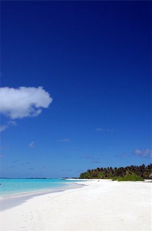 simsearch:400-03928487,k - tropical beach on the maldives with white sand coconut palm tress and turquoise water Foto de stock - Royalty-Free Super Valor e Assinatura, Número: 400-03928489