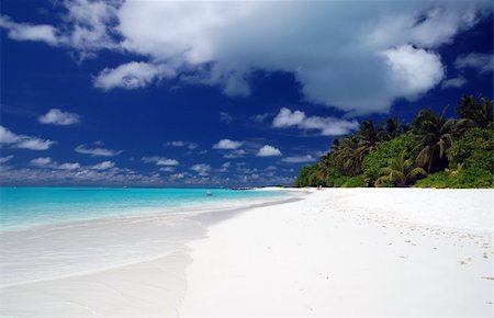 simsearch:862-03364470,k - Tropical Beach with white sand, coconut palm trees and turquoise ocean Stock Photo - Budget Royalty-Free & Subscription, Code: 400-03928480