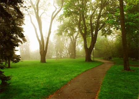 simsearch:400-07678715,k - Path in a green foggy park in the spring Foto de stock - Royalty-Free Super Valor e Assinatura, Número: 400-03928837