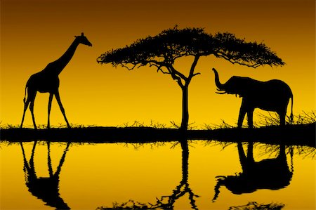 Elephants and giraffes reflected in the early morning light Stock Photo - Budget Royalty-Free & Subscription, Code: 400-03929984