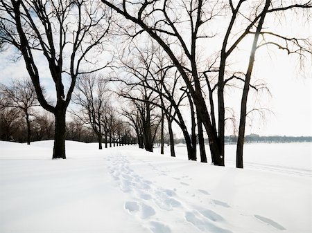 Snow covered trail with footprints at park in Minneapolis, Minnesota. Stockbilder - Microstock & Abonnement, Bildnummer: 400-03920907