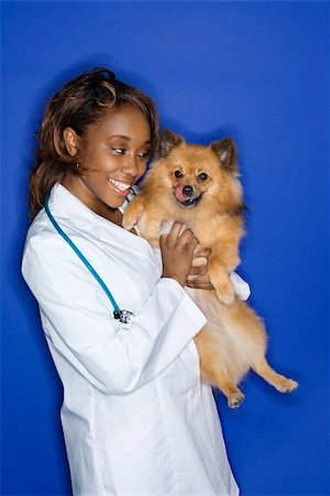 simsearch:400-04446187,k - African American young adult female veterinarian holding brown Pomeranian dog. Photographie de stock - Aubaine LD & Abonnement, Code: 400-03921798