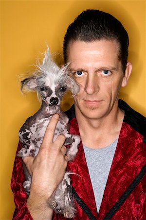 dog man bizarre - Caucasian mid-adult male wearing velvet and holding Chinese Crested dog. Stock Photo - Budget Royalty-Free & Subscription, Code: 400-03921826