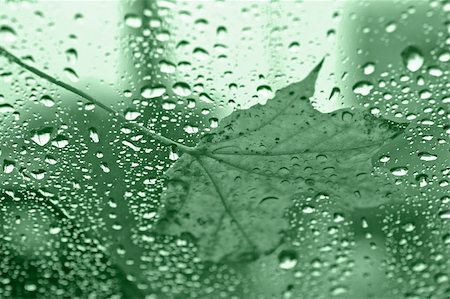 simsearch:632-05991589,k - Wet Leaf on Green Glass in the Fall Photographie de stock - Aubaine LD & Abonnement, Code: 400-03922331