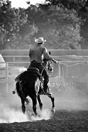 sascha (artist) - cowboy with lasso on horse at a rodeo, converted with added grain Fotografie stock - Microstock e Abbonamento, Codice: 400-03922428