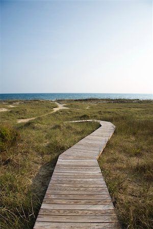 simsearch:400-08223992,k - Wooden pathway to beach on Bald Head Island, North Carolina. Stock Photo - Budget Royalty-Free & Subscription, Code: 400-03923124