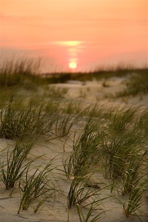 simsearch:400-03923118,k - Sun setting over beach sand dune on Bald Head Island, North Carolina. Fotografie stock - Microstock e Abbonamento, Codice: 400-03923411