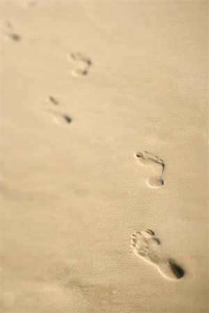 simsearch:400-03923118,k - Scenic sandy coastline with footprints. Fotografie stock - Microstock e Abbonamento, Codice: 400-03923545
