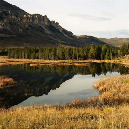 simsearch:400-03943979,k - Wyoming mountains reflected in lake surrounded by golden field. Foto de stock - Super Valor sin royalties y Suscripción, Código: 400-03923881