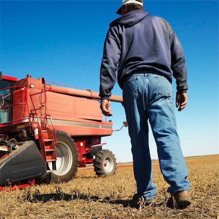 Low angle back view of Caucasion middle-aged male farmer walking toward combine in soybean field. Stock Photo - Budget Royalty-Free & Subscription, Code: 400-03923901