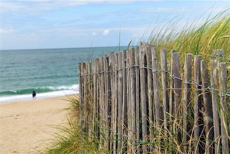 simsearch:400-08223992,k - Ocean with sandy beach and wooden fence Stock Photo - Budget Royalty-Free & Subscription, Code: 400-03935550
