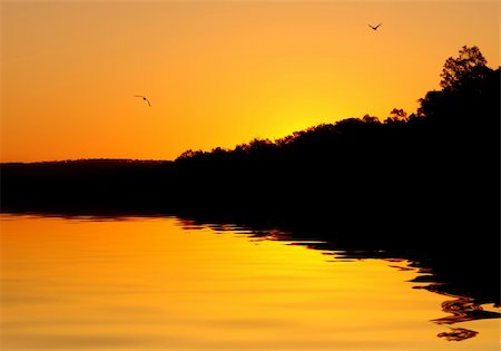 Beautiful Sunset on the River Murray Stockbilder - Microstock & Abonnement, Bildnummer: 400-03936001