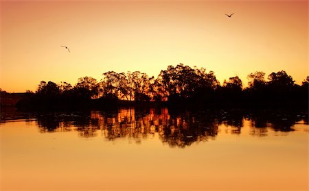 simsearch:879-09190588,k - Gorgeous Sunset on the Murray River Photographie de stock - Aubaine LD & Abonnement, Code: 400-03936002