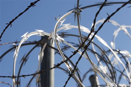simsearch:400-04609623,k - Razor and barbed wire on top of a fence. Photographie de stock - Aubaine LD & Abonnement, Code: 400-03936742