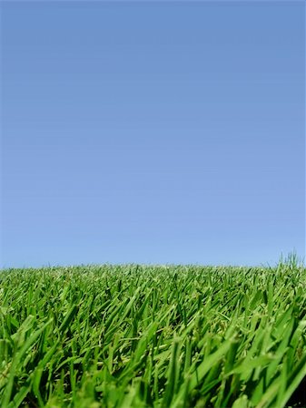 simsearch:6109-08581371,k - Background of blue sky and grass Foto de stock - Royalty-Free Super Valor e Assinatura, Número: 400-03937079