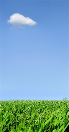 simsearch:6109-08581371,k - Background of sky and grass Foto de stock - Royalty-Free Super Valor e Assinatura, Número: 400-03937488