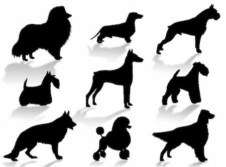 Dogs silhouette to represent different dog breeds Stock Photo - Budget Royalty-Free & Subscription, Code: 400-03937570