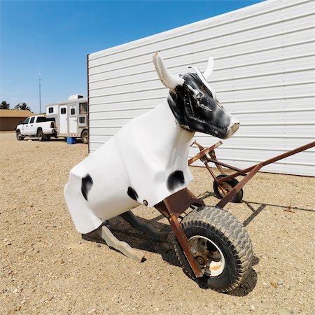pato de isca - Practice lasso cow dummy on ranch. Foto de stock - Royalty-Free Super Valor e Assinatura, Número: 400-03937834