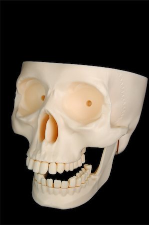 simsearch:400-03933783,k - A funny-looking plastic skull isolated on a black background, top of the head missing. Stock Photo - Budget Royalty-Free & Subscription, Code: 400-03938633