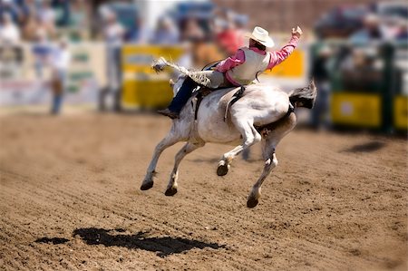 extreme terrain - A saddle bronc rider at a local rodeo Foto de stock - Super Valor sin royalties y Suscripción, Código: 400-03938788