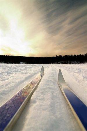 simsearch:400-04470085,k - Skiing on a bright sunny day Stockbilder - Microstock & Abonnement, Bildnummer: 400-03939498