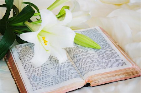 Easter Lily and Bible Stockbilder - Microstock & Abonnement, Bildnummer: 400-03930039