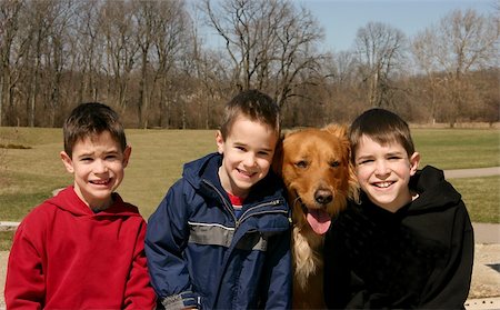 simsearch:400-04523345,k - Golden Retriever insisting on being in the Picture Foto de stock - Super Valor sin royalties y Suscripción, Código: 400-03930105