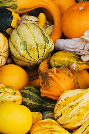 simsearch:400-03938737,k - Mixture of squash on sale at a produce market Photographie de stock - Aubaine LD & Abonnement, Code: 400-03930536