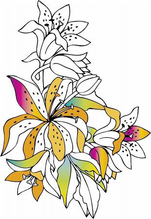 drawings of spring season - Colorful lilies on white background Foto de stock - Super Valor sin royalties y Suscripción, Código: 400-03931682