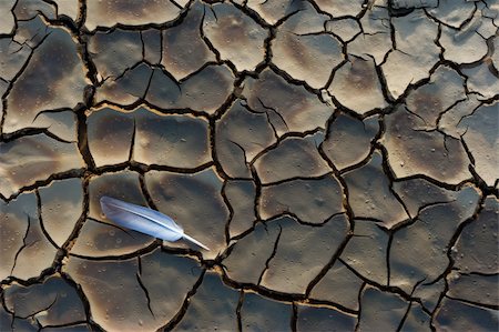 simsearch:632-02885415,k - White feather on the dry, cracked ground Photographie de stock - Aubaine LD & Abonnement, Code: 400-03932217