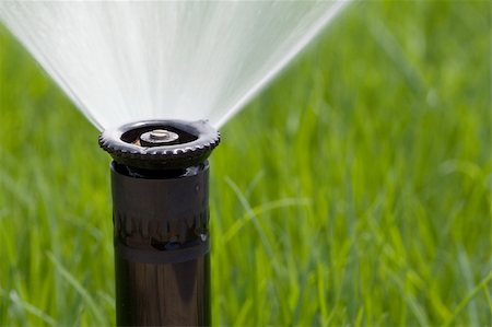 Detail of a working lawn sprinkler head watering the grass Stock Photo - Budget Royalty-Free & Subscription, Code: 400-03932500