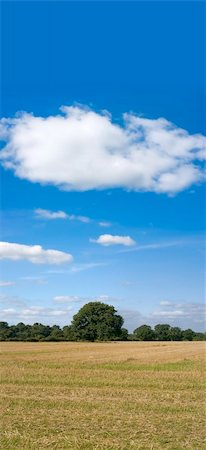 simsearch:400-04015482,k - farmland empty cornfield after harvesting of arable crops Photographie de stock - Aubaine LD & Abonnement, Code: 400-03932749