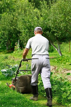 simsearch:400-03945601,k - Man working in the garden - cutting the grass Stock Photo - Budget Royalty-Free & Subscription, Code: 400-03933382
