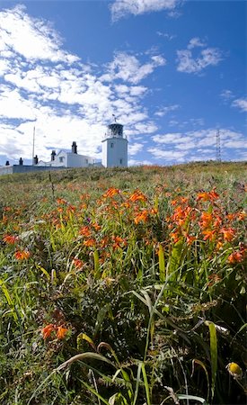 simsearch:400-03933465,k - lighthouse the lizard point the southernmost tip of land in england cornwall uk Stock Photo - Budget Royalty-Free & Subscription, Code: 400-03933465