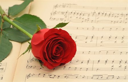 simsearch:400-04858997,k - Vintage sheet music with red rose - focus on the rose (shallow DOF) Stock Photo - Budget Royalty-Free & Subscription, Code: 400-03933678