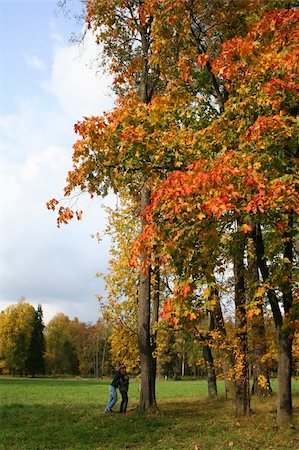 Picturesque autumn landscape of river and bright trees and bushes Stock Photo - Budget Royalty-Free & Subscription, Code: 400-03933881