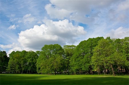 Summer park. White clouds over the trees. Photographie de stock - Aubaine LD & Abonnement, Code: 400-03945231