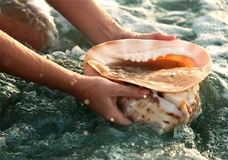 simsearch:6108-06907274,k - The big conch shell on a background of water with sparks Foto de stock - Super Valor sin royalties y Suscripción, Código: 400-03945341