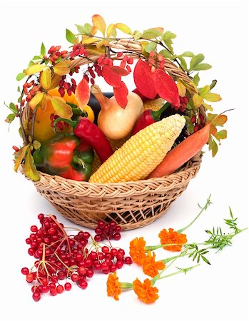 lots of fresh and ripe vegetables in the basket Stock Photo - Budget Royalty-Free & Subscription, Code: 400-03946509