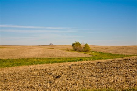 sich herumwälzen - Autumn farm fields rural Illinois Stockbilder - Microstock & Abonnement, Bildnummer: 400-03946878