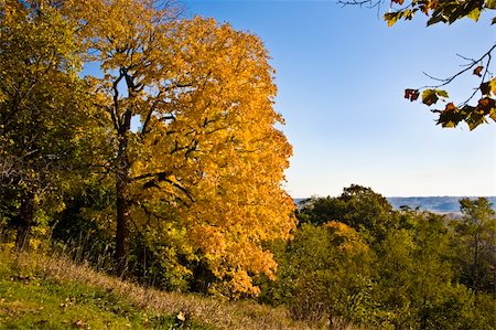 View of river valley from bluff Stock Photo - Budget Royalty-Free & Subscription, Code: 400-03946921