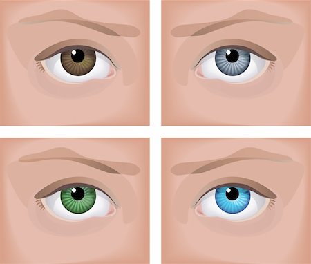 Vector illustration - a realistic human eye (four colors) Photographie de stock - Aubaine LD & Abonnement, Code: 400-03947644