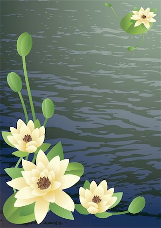 simsearch:400-04424294,k - Vector illustration - a pond with fine blossoming lilies Stock Photo - Budget Royalty-Free & Subscription, Code: 400-03947697